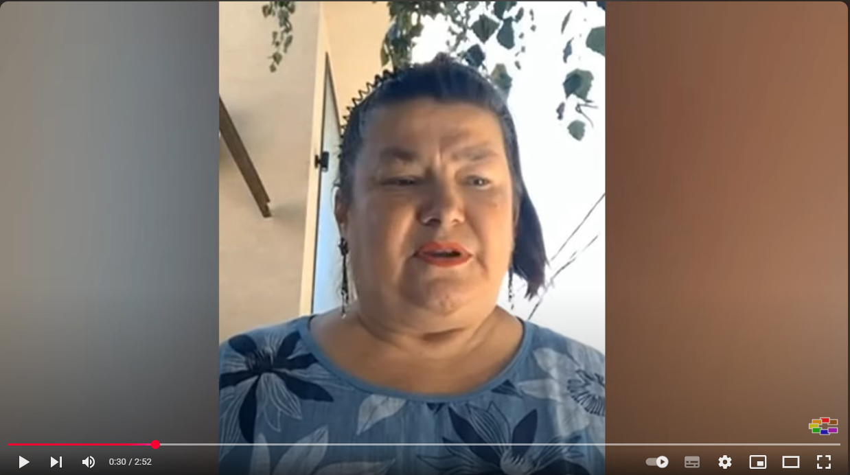 Изјава за Сител на др. Лилија Чолакова Дервишова – Македонија ќе остане без матични лекари ако не се донесе итно системско решение
